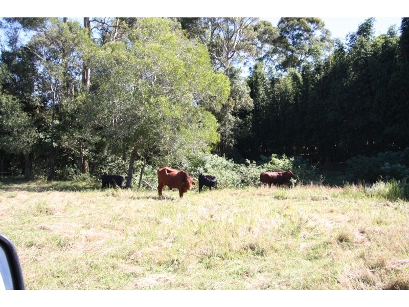 238 Greenhalgh Road, Bells Bridge QLD 4570
