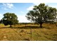 1 Tin Can Bay Rd, Annie Ln, Offer Rd, Veteran QLD 4570