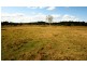 1 Tin Can Bay Rd, Annie Ln, Offer Rd, Veteran QLD 4570