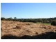 1 Tin Can Bay Rd, Annie Ln, Offer Rd, Veteran QLD 4570