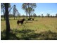 Sexton QLD 4570
