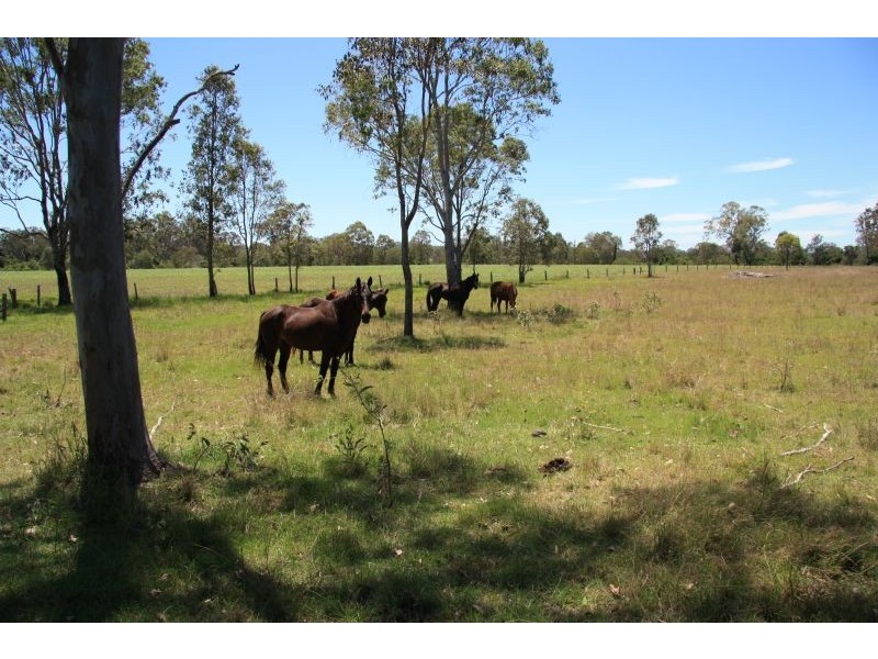 Sexton QLD 4570