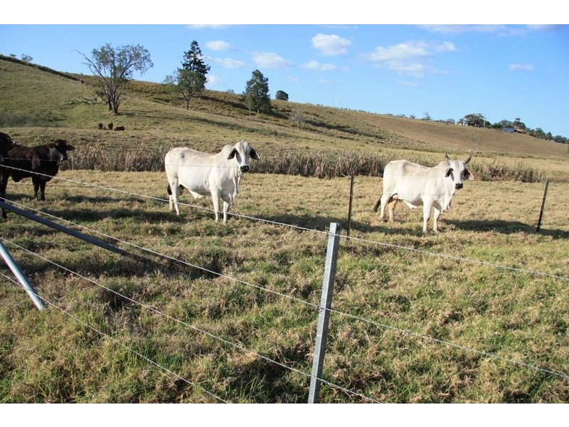 Kia Ora QLD 4570