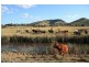 Kia Ora QLD 4570