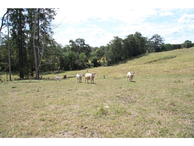 Wilsons Pocket QLD 4570