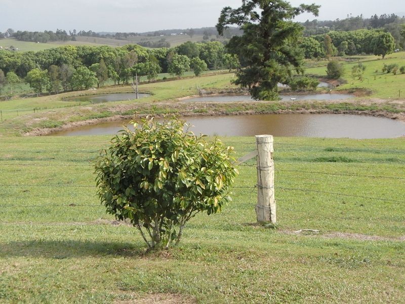 40 Grecian Bends Road, Greens Creek QLD 4570