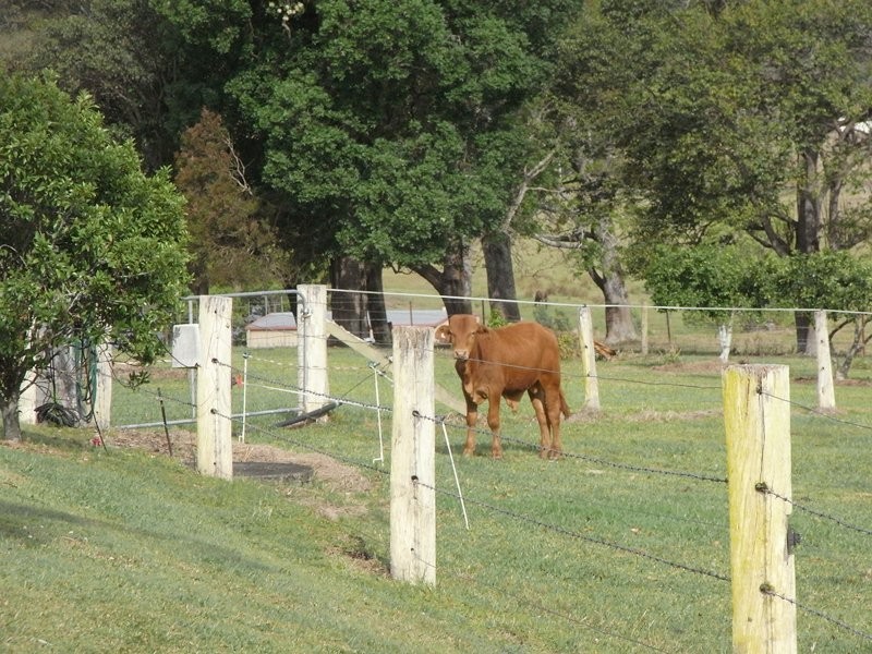 40 Grecian Bends Road, Greens Creek QLD 4570