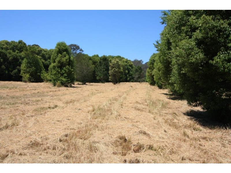 479 Tin Can Bay, Canina QLD 4570