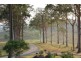 Greens Creek QLD 4570