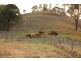 Greens Creek QLD 4570