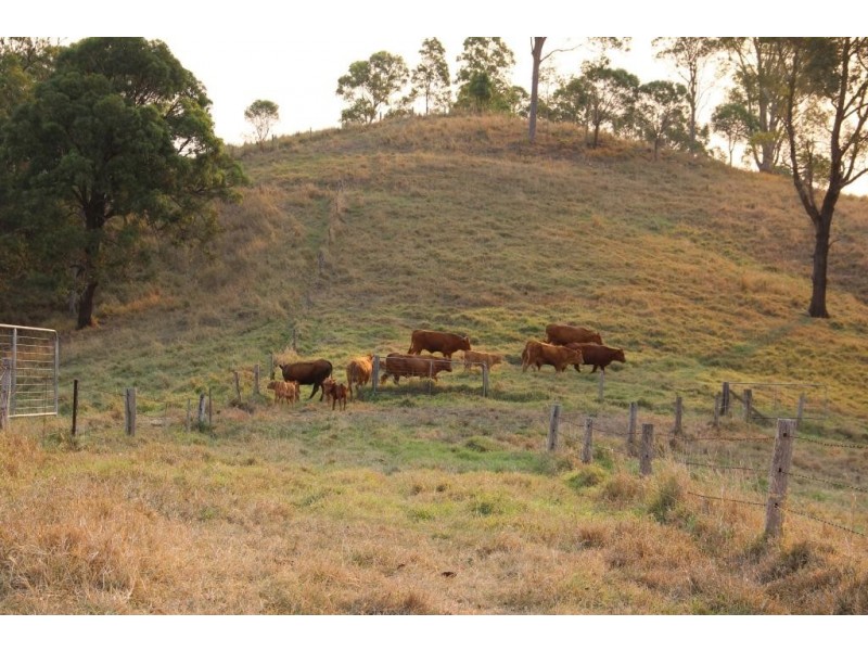 Greens Creek QLD 4570