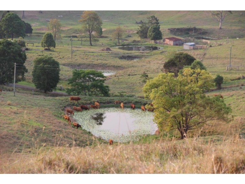 Greens Creek QLD 4570