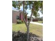 Cooloola Cove QLD 4580