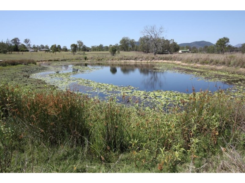 Lower Wonga QLD 4570