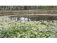 56 Stevenson Rd, Glenwood QLD 4570