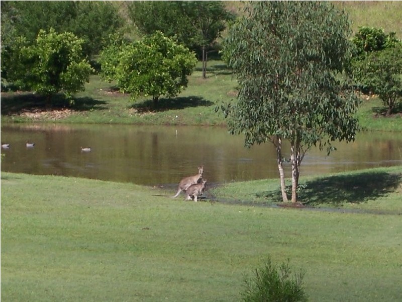 68 Marys Creek Road, Marys Creek QLD 4570