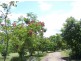 68 Marys Creek Road, Marys Creek QLD 4570