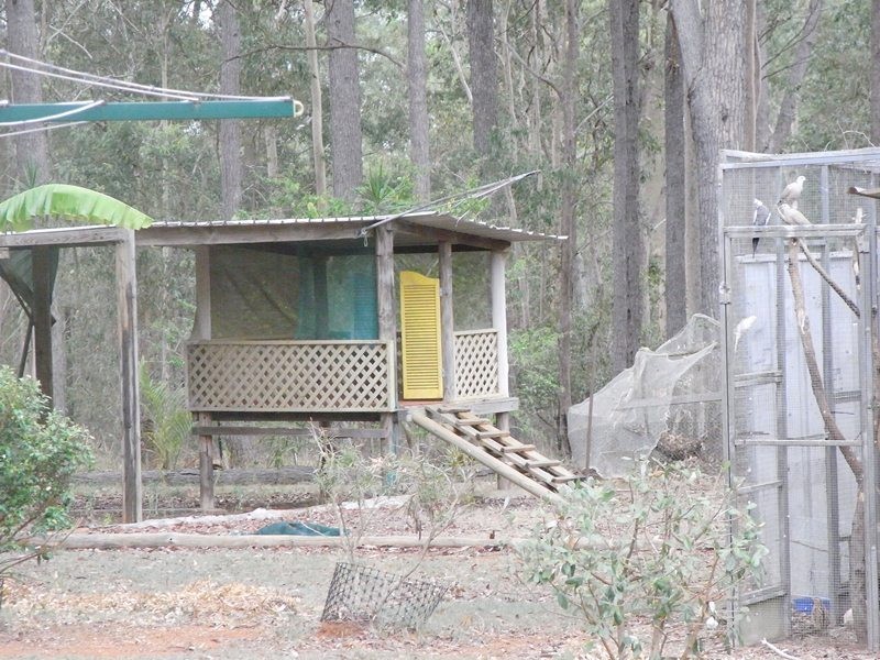 30 Arborfifteen Road, Glenwood QLD 4570