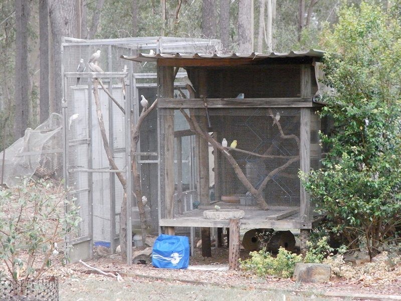 30 Arborfifteen Road, Glenwood QLD 4570