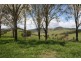 Glastonbury QLD 4570