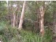 22 Allarado Place, Tamaree QLD 4570