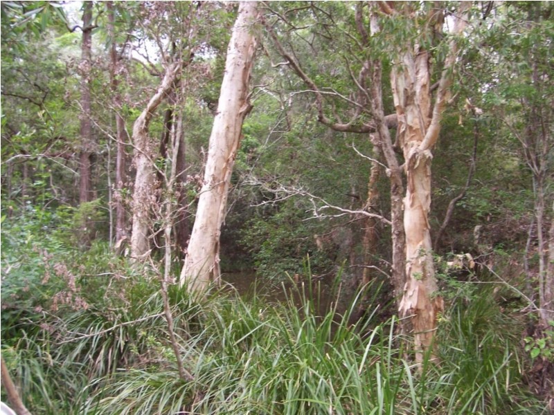 22 Allarado Place, Tamaree QLD 4570