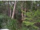 22 Allarado Place, Tamaree QLD 4570