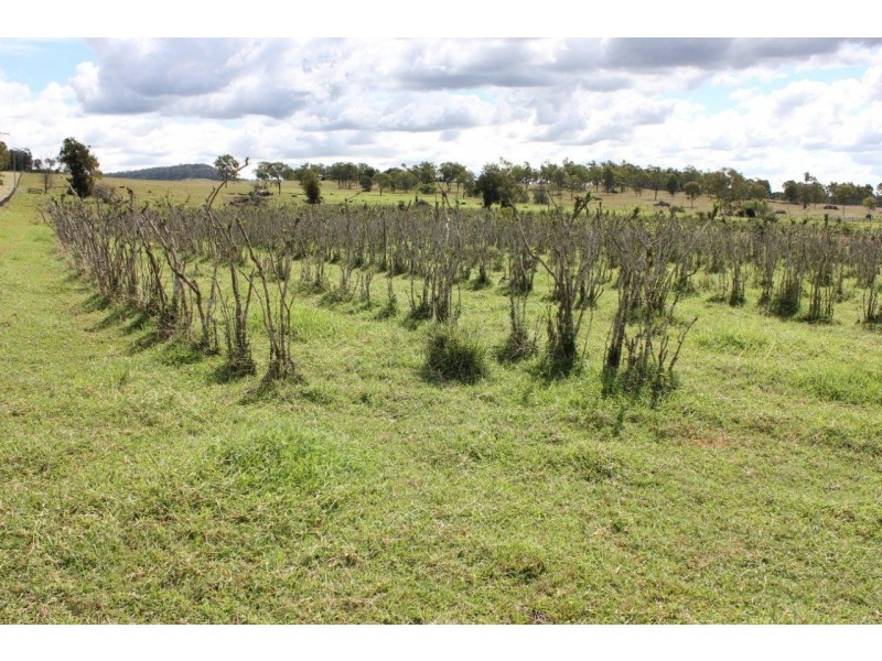 Mount Mceuen QLD 4606