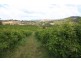 Amamoor QLD 4570