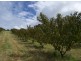 Amamoor QLD 4570