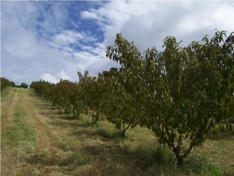 Amamoor QLD 4570