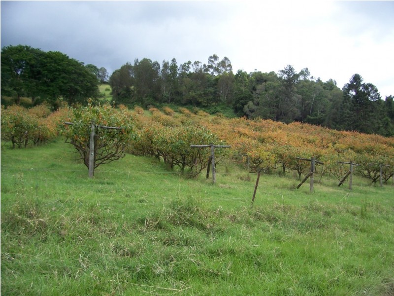 Amamoor QLD 4570