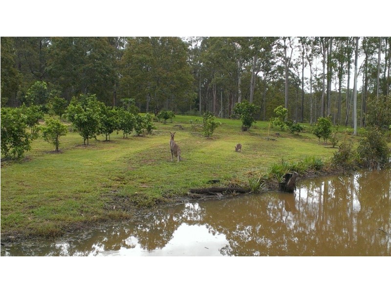 189 Neusavale Road, Wolvi QLD 4570
