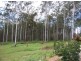 189 Neusavale Road, Wolvi QLD 4570