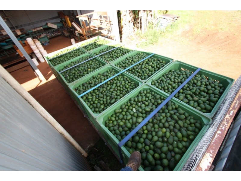 163 Amamoor Creek Road, Amamoor QLD 4570