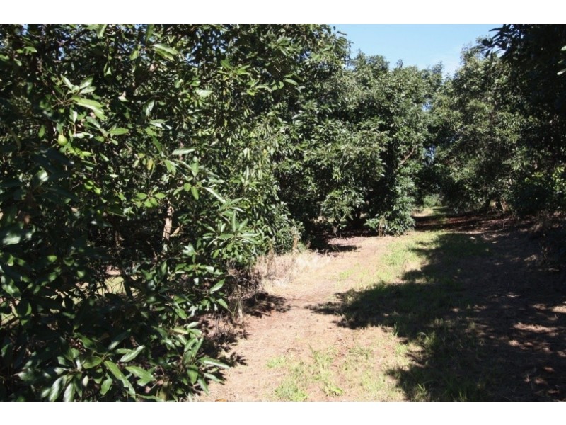 163 Amamoor Creek Road, Amamoor QLD 4570