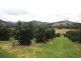 163 Amamoor Creek Road, Amamoor QLD 4570