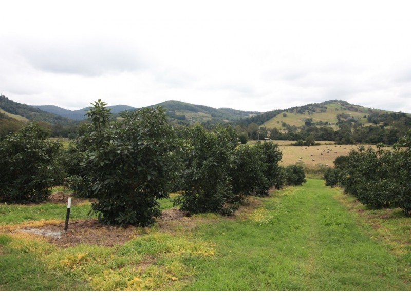 163 Amamoor Creek Road, Amamoor QLD 4570