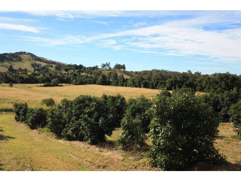 163 Amamoor Creek Road, Amamoor QLD 4570