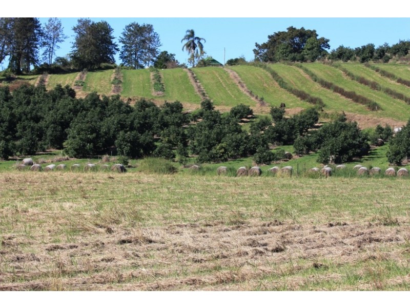 163 Amamoor Creek Road, Amamoor QLD 4570