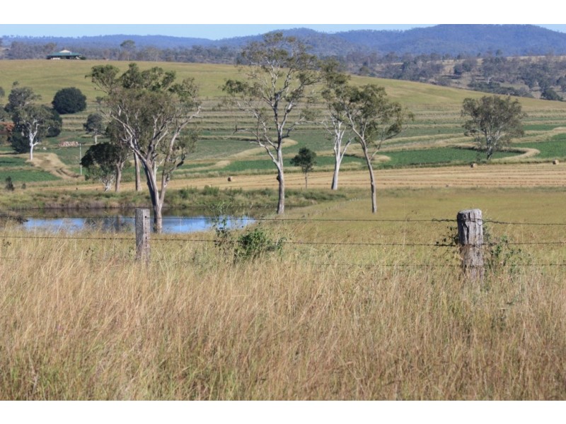 Tansey QLD 4601