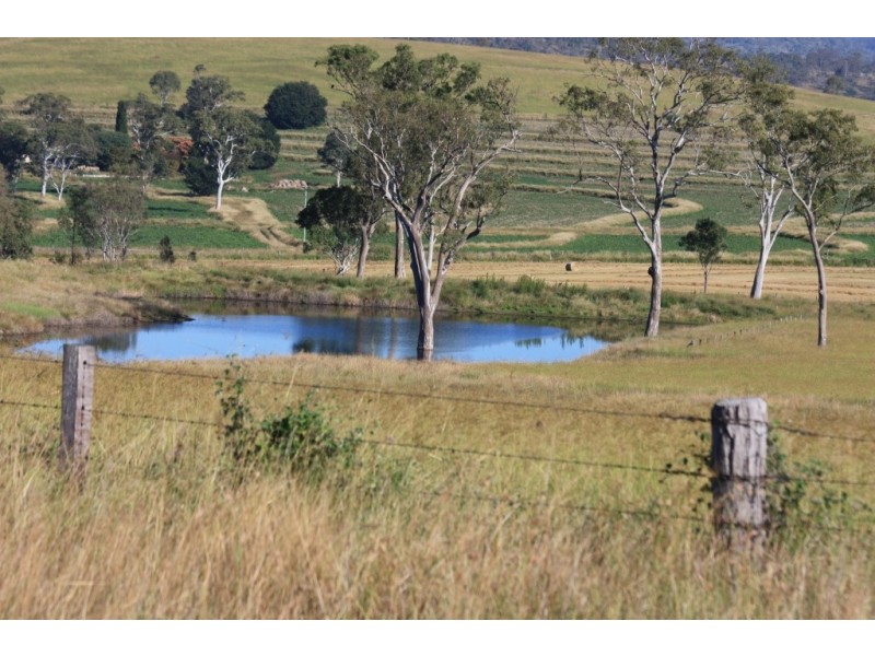 Tansey QLD 4601