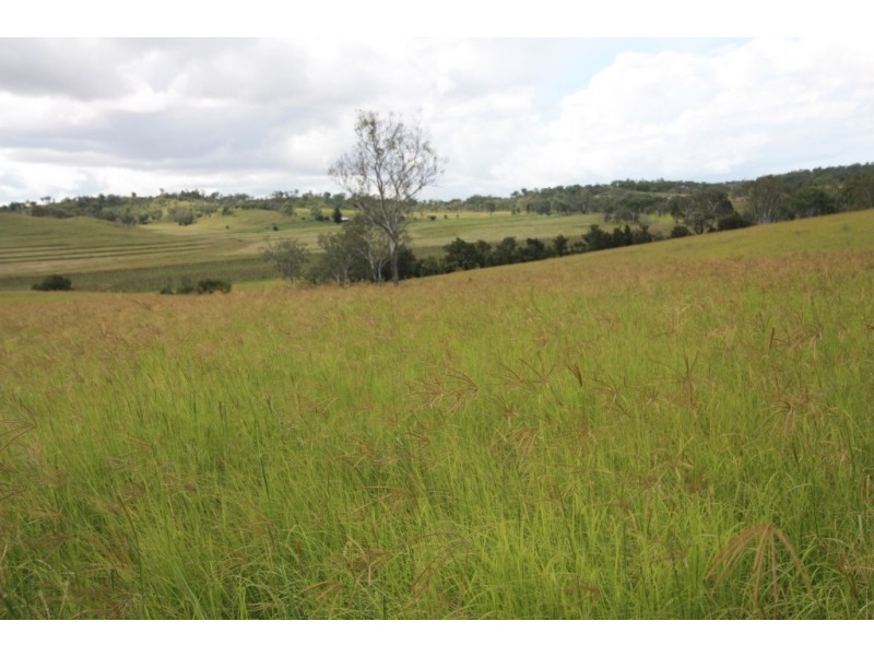 Tansey QLD 4601