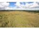 Tansey QLD 4601