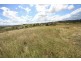 Tansey QLD 4601