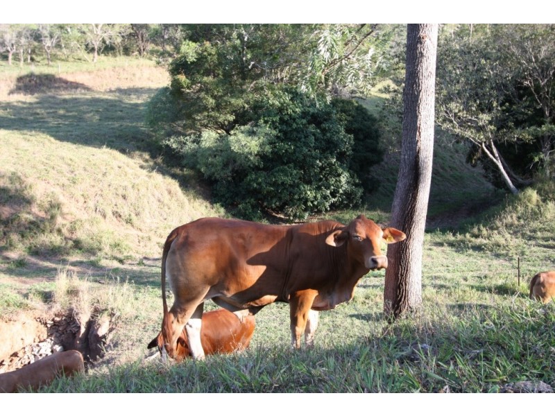 Goomboorian QLD 4570