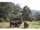Goomboorian QLD 4570