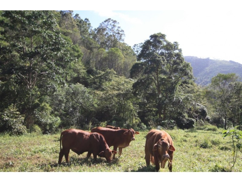 Goomboorian QLD 4570
