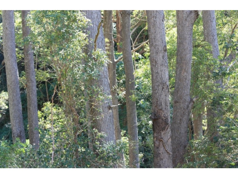 Goomboorian QLD 4570