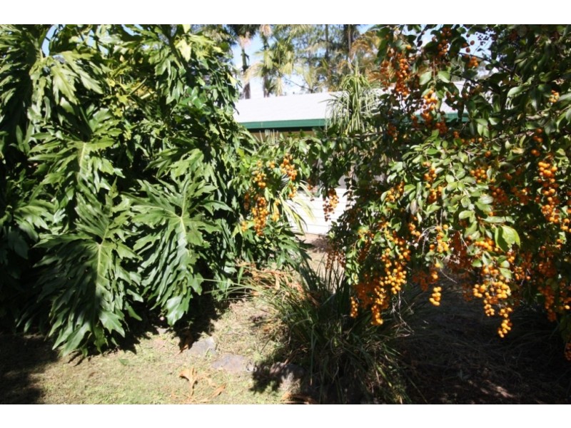 70 Williams Road, East Deep Creek QLD 4570